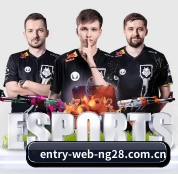 NG28 APP（NG28 H5）